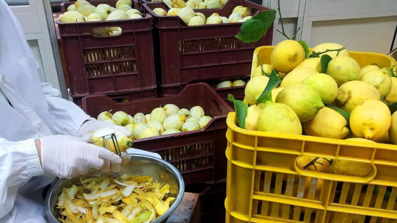 فيلا I Giardini Di Cataldo سورينتو المظهر الخارجي الصورة