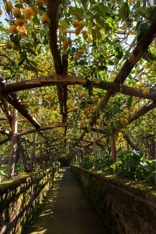 فيلا I Giardini Di Cataldo سورينتو المظهر الخارجي الصورة